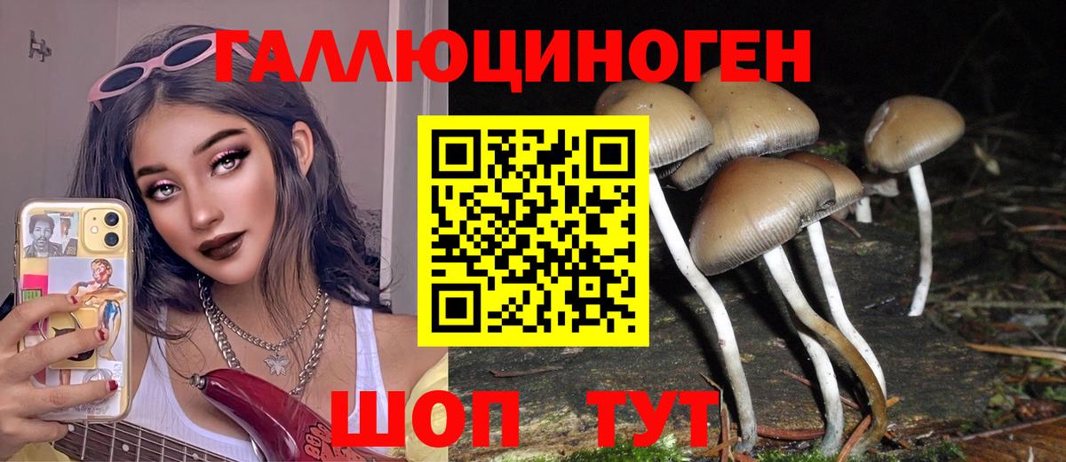 Галлюциногенные грибы GOLDEN TEACHER Урус-Мартан
