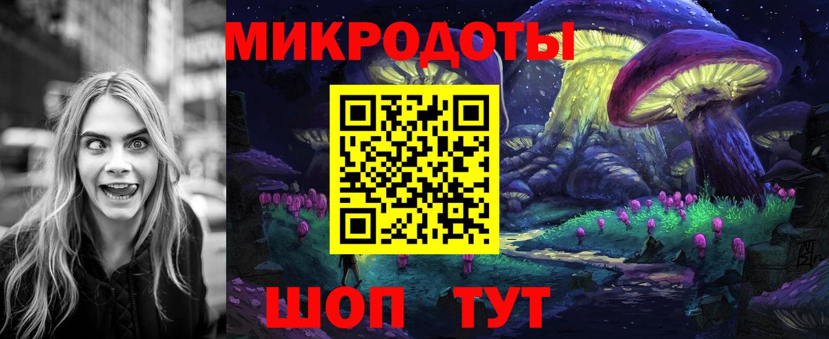 Псилоцибиновые грибы Psilocybe  Вход с VPN  Галлюциногенные грибы мицелий  Урус-Мартан 